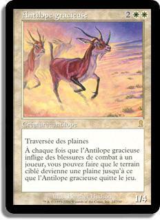 Antilope gracieuse