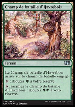 Champ de bataille d'Havrebois