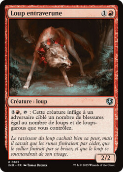 Loup entraverune