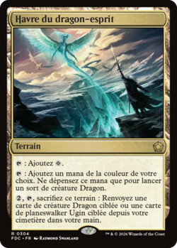 Havre du dragon-esprit