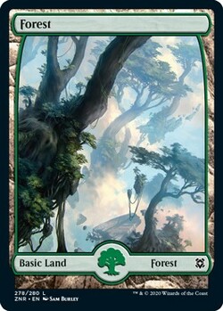 Forest 278 Fullframe