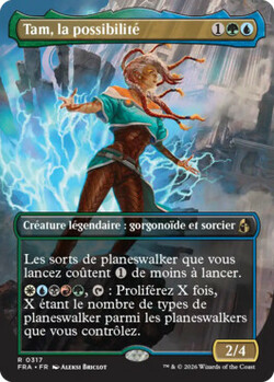 Tam, la possibilité