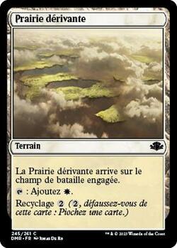 Prairie dérivante