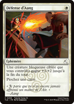 Défense d'Aang