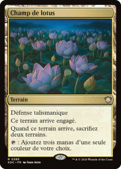 Champ de lotus