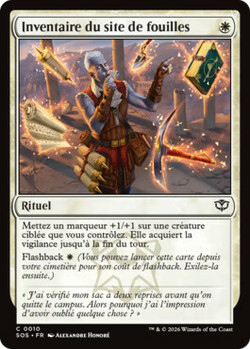 Inventaire du site de fouilles