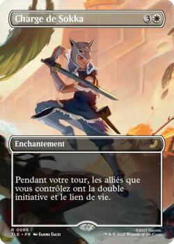 Charge de Sokka
