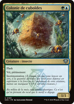 Colonie de cuboïdes