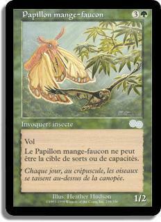 Papillon mange-faucon