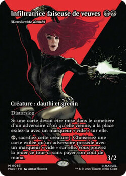 Marchevide dauthi