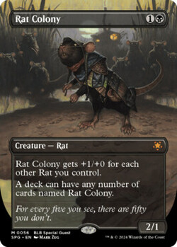 Rat Colony