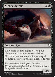 Nichée de rats