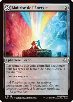 Maîtrise de l'Energie