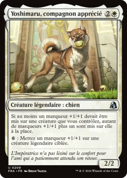 Yoshimaru, compagnon apprécié