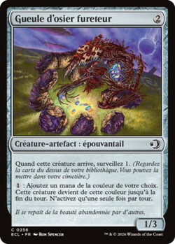 Gueule d’osier fureteur