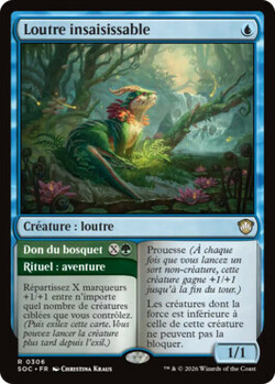 Loutre insaisissable