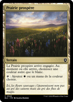 Prairie prospère