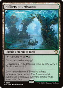 Halliers pourrissants