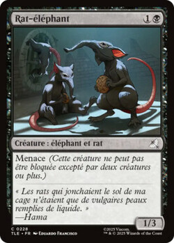 Rat-éléphant