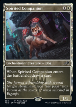 Spirited Companion