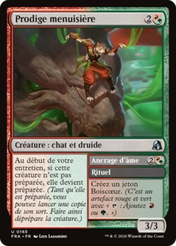 Prodige menuisière