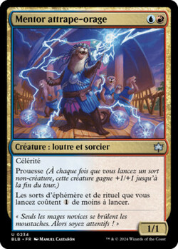 Mentor attrape-orage