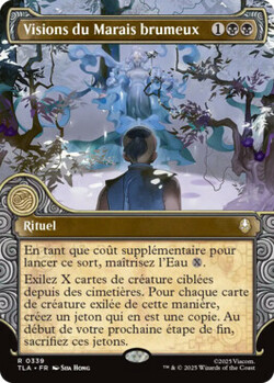 Visions du Marais brumeux