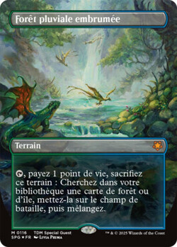 Forêt pluviale embrumée