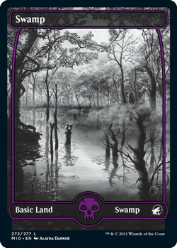 Swamp 272 Fullframe
