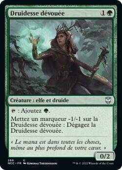 Druidesse dévouée