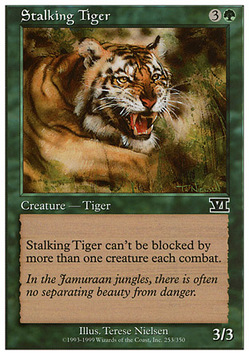 Tigre en chasse