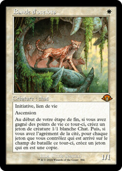 Bande d'ocelots