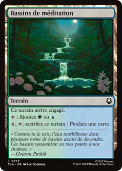 Bassins de méditation