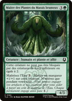 Maître des Plantes du Marais brumeux