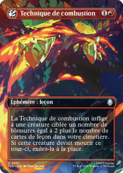Technique de combustion