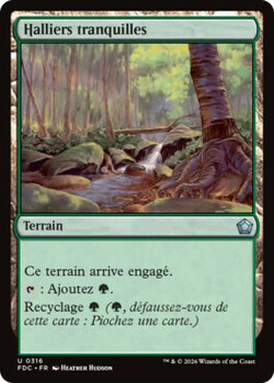 Halliers tranquilles