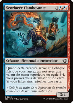 Scoriacée flamboyante