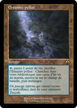 Estuaire pollué