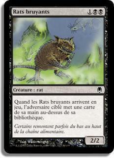 Rats bruyants