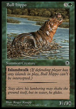 Hippopotame mâle