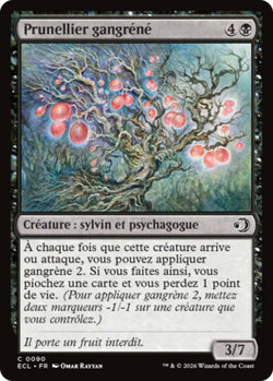 Prunellier gangréné