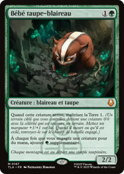 Bébé taupe-blaireau