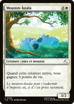 Mouton-koala