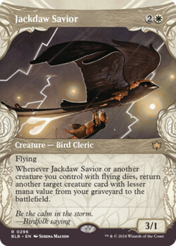 Jackdaw Savior