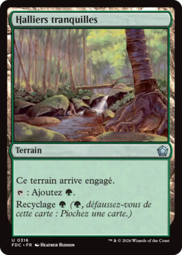 Halliers tranquilles