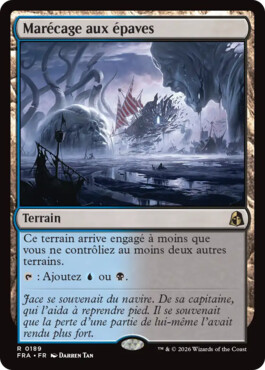 Marécage aux épaves