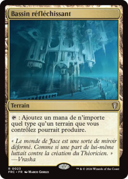 Bassin réfléchissant